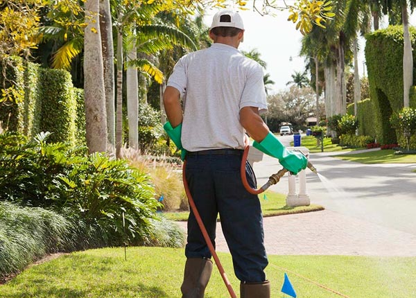 About Patterson NY Pest Control